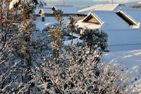 京の雪の朝