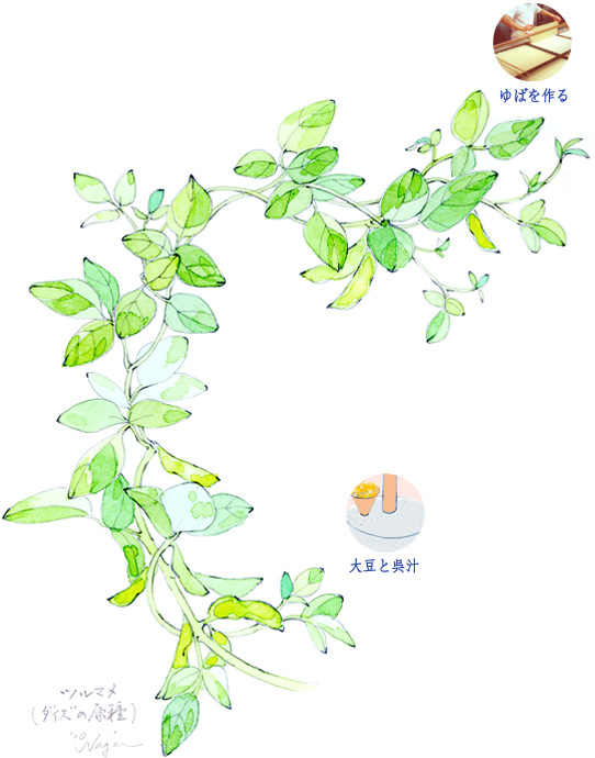 ゆば長今ハ昔