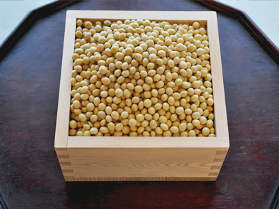 京都ゆば長で使用している国産大豆