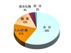 生小巻ゆばの栄養成分パーセント（円グラフ）