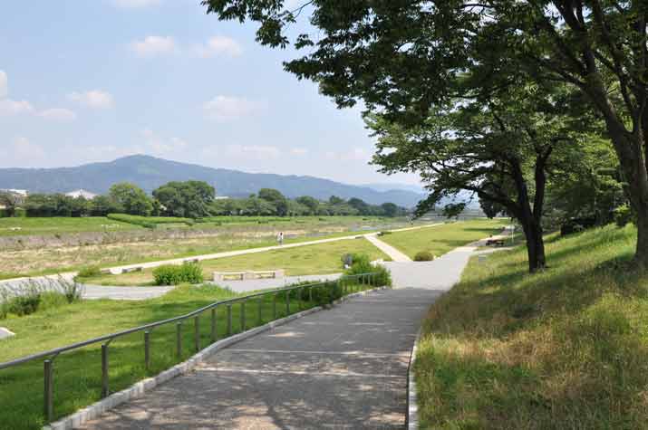 鴨水の流れ 夏の陽射しの中で ゆば長つれづれ手帖