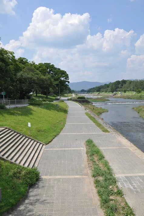 夏の鴨川（北大路橋より）