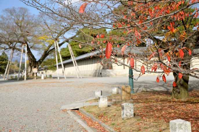 京都御所（秋の風景）