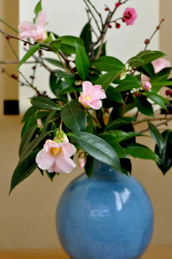 木村宜正さんの花器（椿と梅）