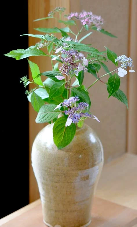 小川長楽さんの花器（甘茶の花）