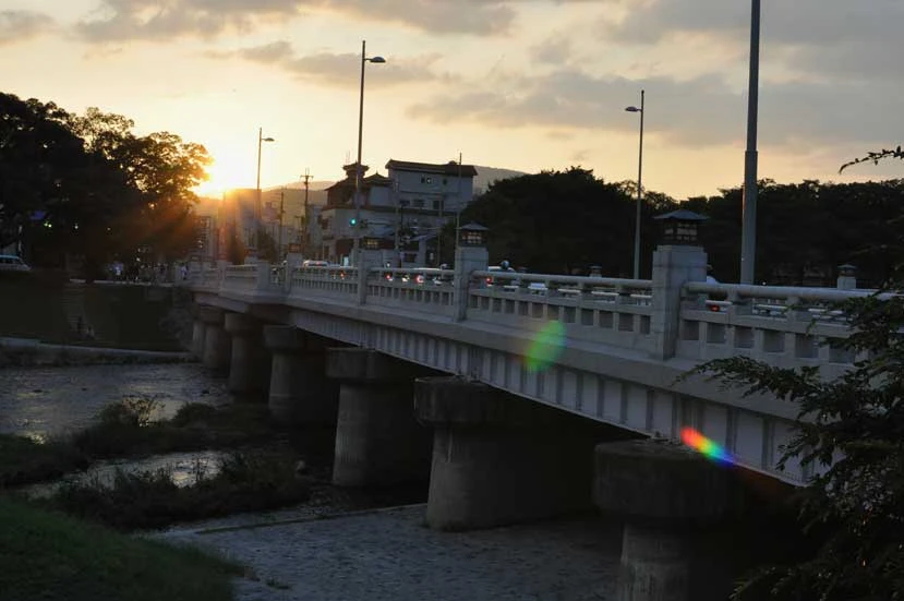 鴨川の夕暮れ（鴨堤の木々）