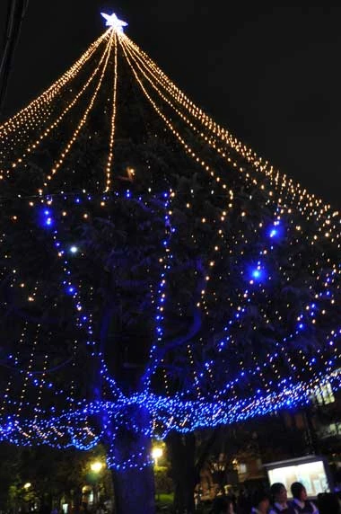 同志社大学（クリスマスツリー点灯式）