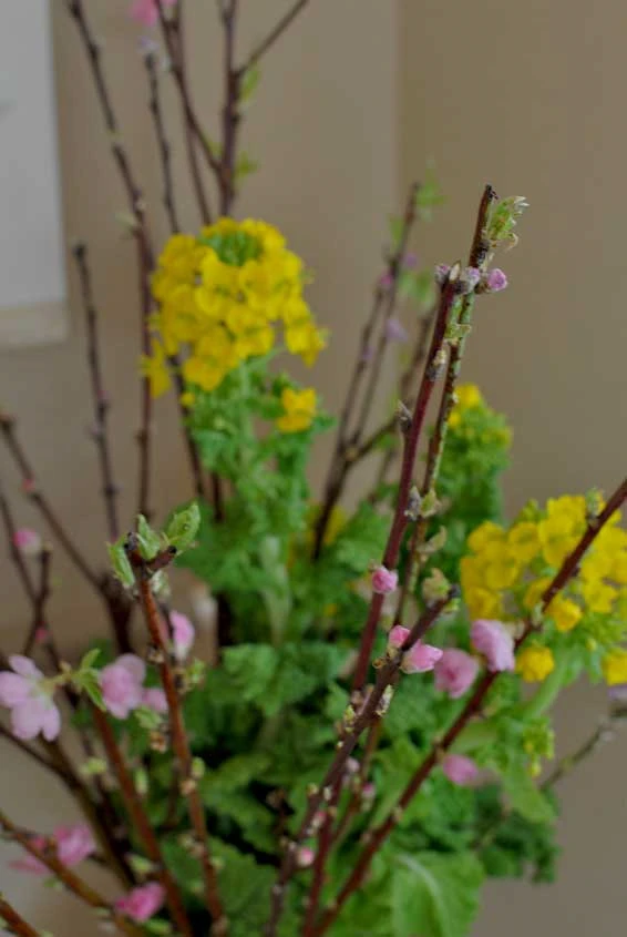 春、桃の花