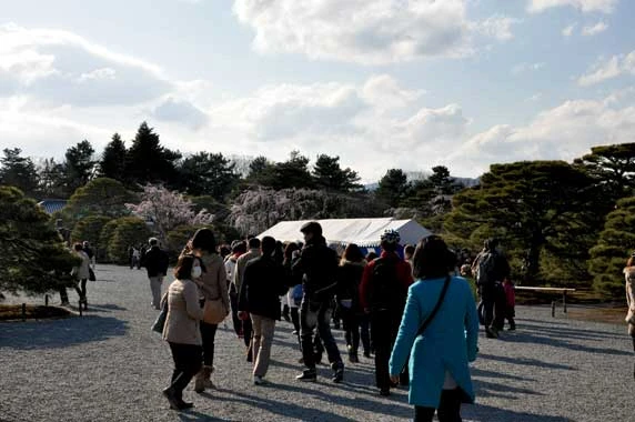 京都御所の春の拝観（三々五々にゆく人々）