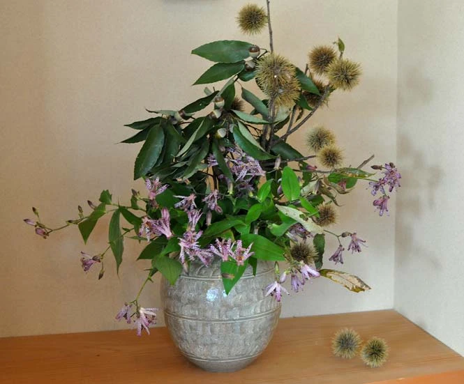 西村陽甫先生の秋の花