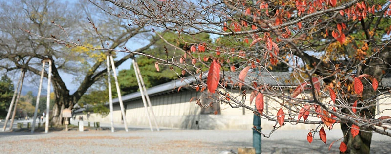 秋風の京都御所(ゆば長近くの景色)