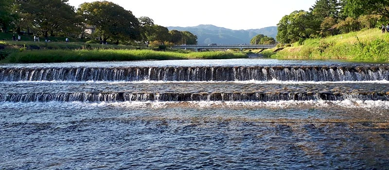 鴨川の夏の夕暮れ北山橋（京都ゆば長店舗近くの風景）