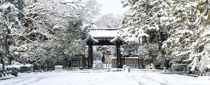 京都御所の冬＿ゆば長近くの景色