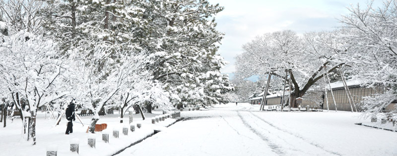 雪の京都御所（ゆば長近くの景色）