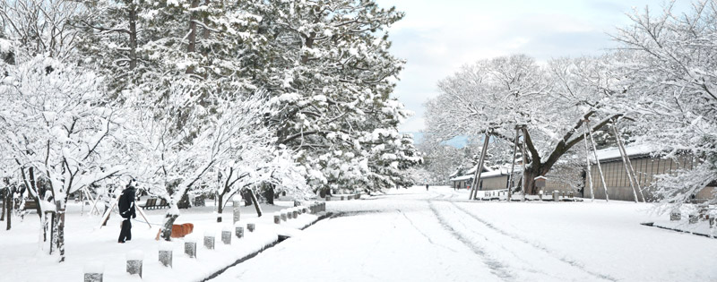 雪の京都御所(ゆば長近くの景色)