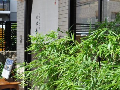 京都ゆば長_初夏の店舗外観
