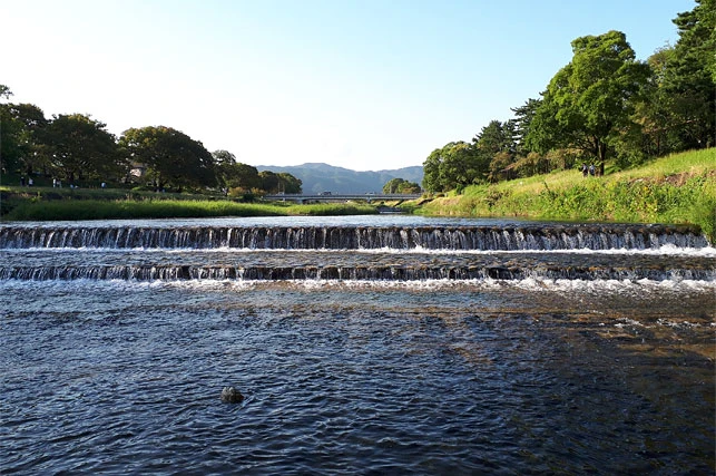 夏の鴨川の飛び石