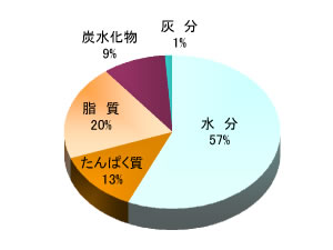 東寺ゆばの栄養成分パーセント（円グラフ）