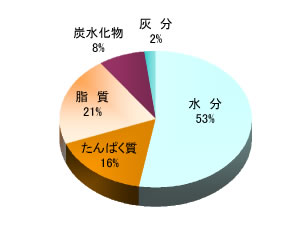 揚げゆばの栄養成分パーセント(円グラフ)
