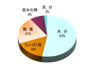 揚げゆばの栄養成分パーセント（円グラフ）